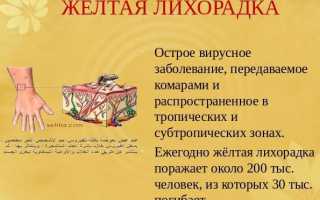 Прививка от желтой лихорадки – специфический метод профилактики заболевания