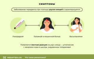 Что такое осповидный риккетсиоз