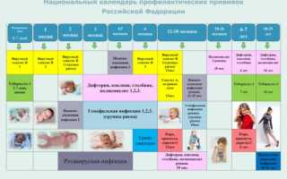 Национальный календарь прививок