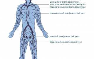 Увеличение лимфоузлов при аллергии