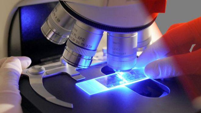 Исследование под микроскопом