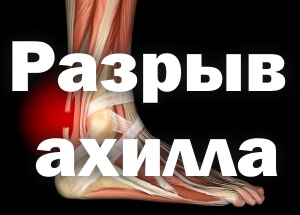 Схема Где расположено