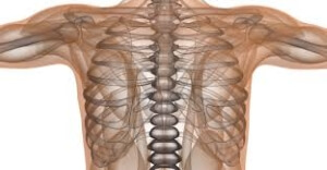 Как выглядит Симптомы