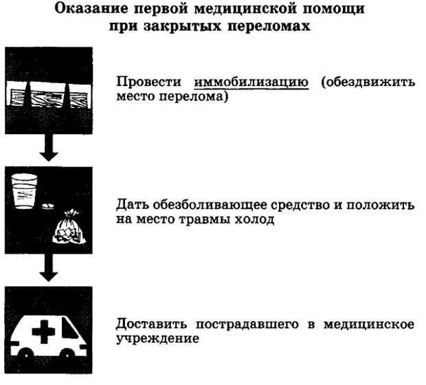 Помогаем Первая помощь