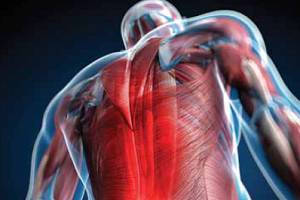 У мужчины болят мышцы У мужчины болит тело