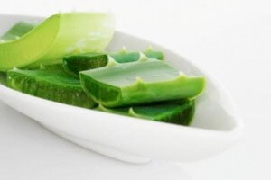 Алоэ Алоэ в помощь