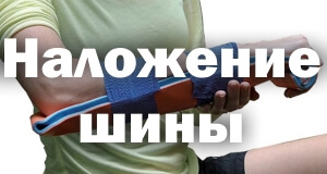 Правила Порядок