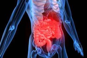 Поменять Органы человека