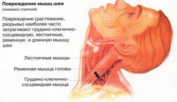 Помогаем Требуется помощь