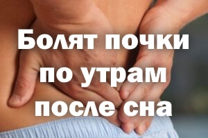 Болят почки после пробуждения Болят почки по утрам после сна