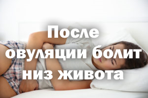 После овуляции болит низ живота После овуляции болит низ животика