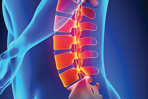 Поясница человека Поясничный отдел человека