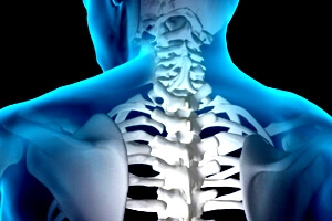 Шейный Шейный отдел