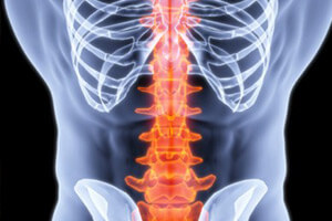 Поясничный Поясничный отдел