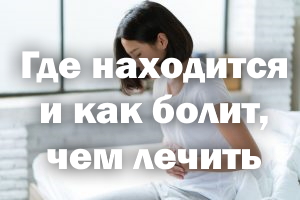 Селезенка - где находится и как болит, чем лечить Селезенка - где находится и как болит, лечение