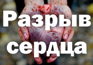 В руках Держим