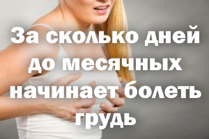 За сколько дней до месячных начинает болеть грудь За сколько дней до менструации начинает ныть грудь