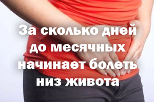 За сколько дней до месячных начинает болеть низ живота За сколько дней до менструации начинает болеть низ живота