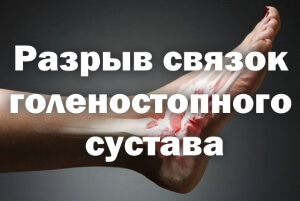 Время Сроки