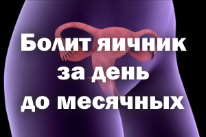 Болит яичник за день до месячных Болит яичник за сутки до месячных