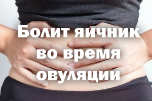 Болит яичник во время овуляции Болит яичник во период овуляции